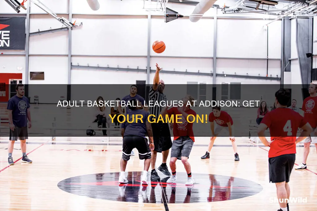 does addison lifetime have adult basketball leagues