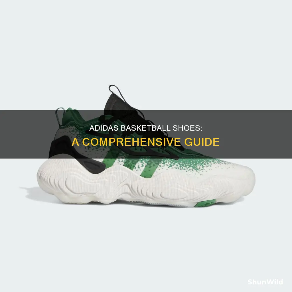 does adidas have basketball shoes