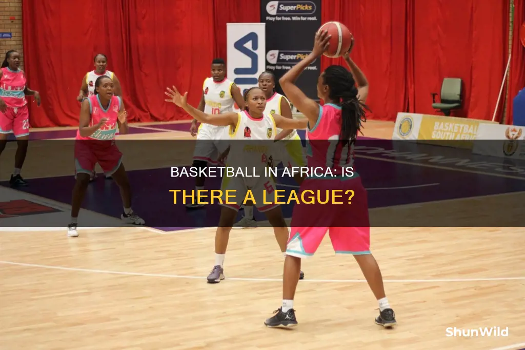 does africa have a basketball leauge