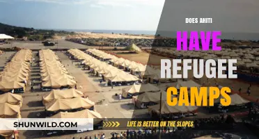 Exploring Haiti's Refugee Camps: Reality, Challenges, and Humanitarian Efforts