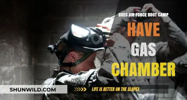 Air Force Boot Camp Gas Chamber Training: Fact or Fiction?
