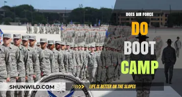 Air Force Boot Camp: What to Expect in Basic Training