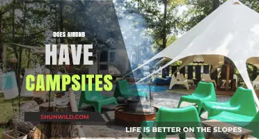 Exploring Airbnb's Campsite Listings: Are Outdoor Adventures Available?