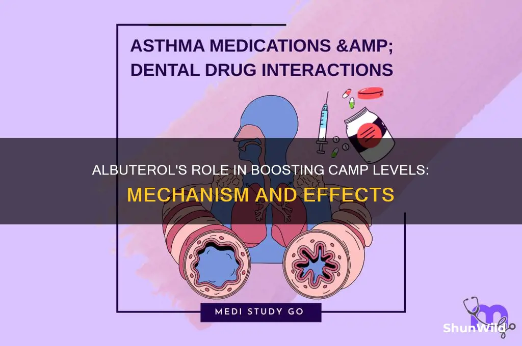 does albuterol increase camp