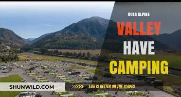 Camping at Alpine Valley: Options, Availability, and What to Expect