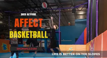 Altitude's Impact on Basketball Performance