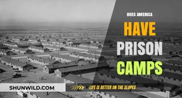 Unveiling the Truth: America's Prison Camps and Incarceration System