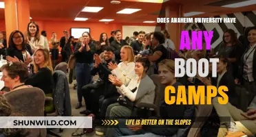 Anaheim University Boot Camps: Availability and Program Details Explained