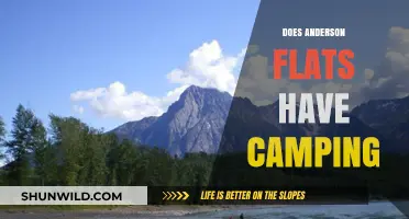 Exploring Anderson Flats: Camping Options and Outdoor Adventures