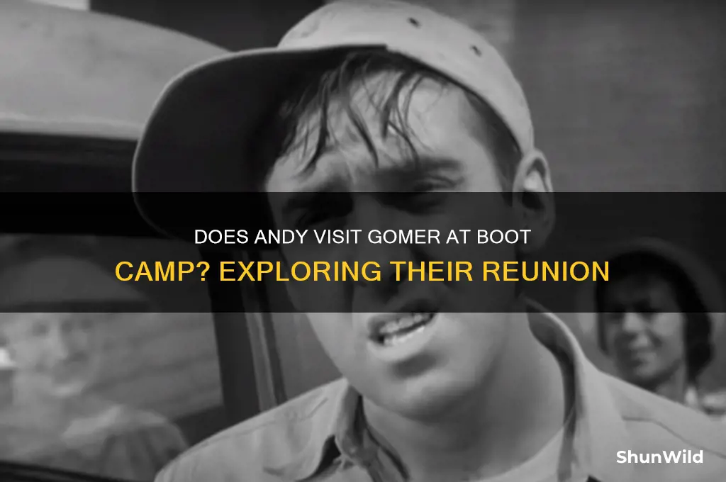 does andy ever visit gomer at boot camp