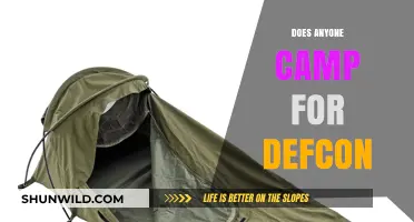 Camping for DEF CON: A Unique Hacker Gathering Experience
