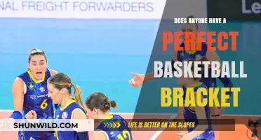 March Madness: Perfect Bracket, Possible or Myth?