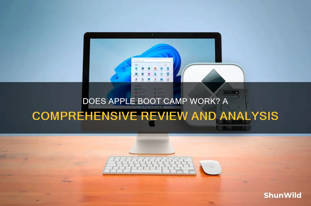 does apple boot camp work