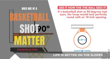 The Perfect Arc: Basketball Shot Science