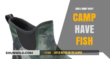 Army Boot Camp and Fish: Unraveling the Unexpected Connection