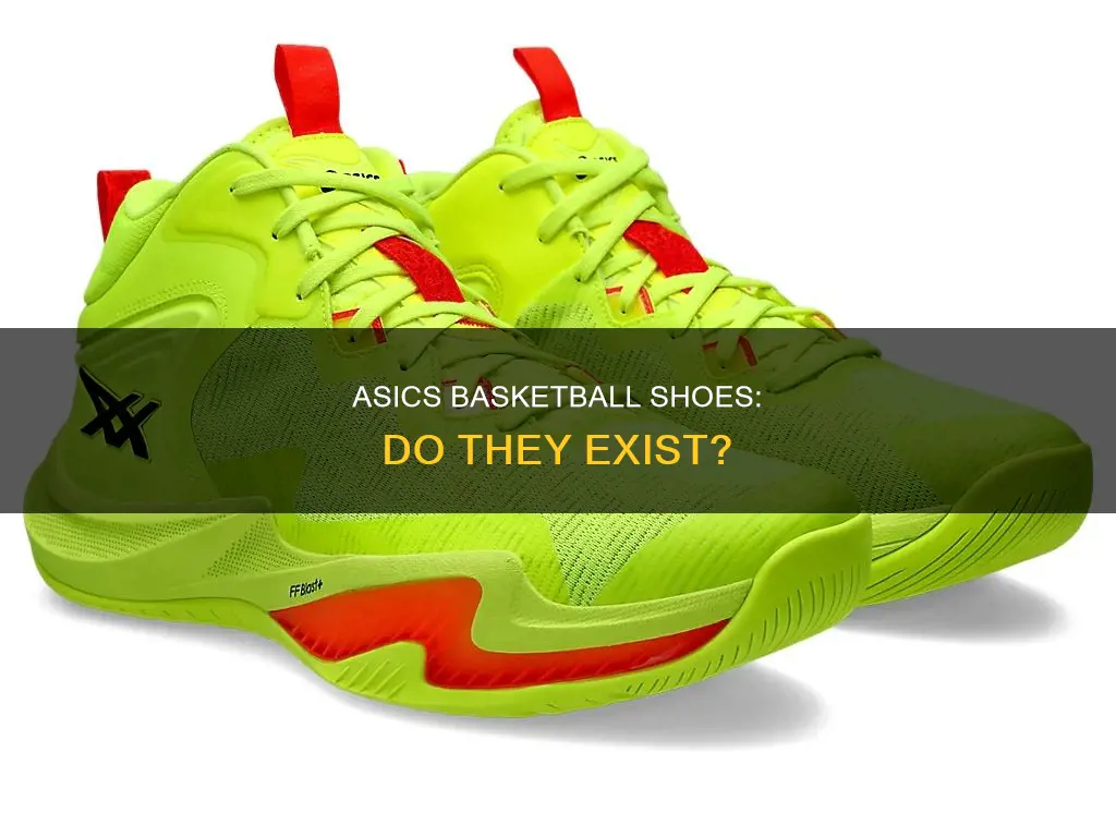 does asics have basketball shoe