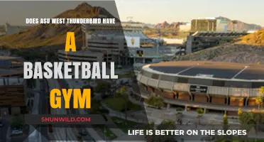 Thunderbird Basketball Gym: Does It Exist?