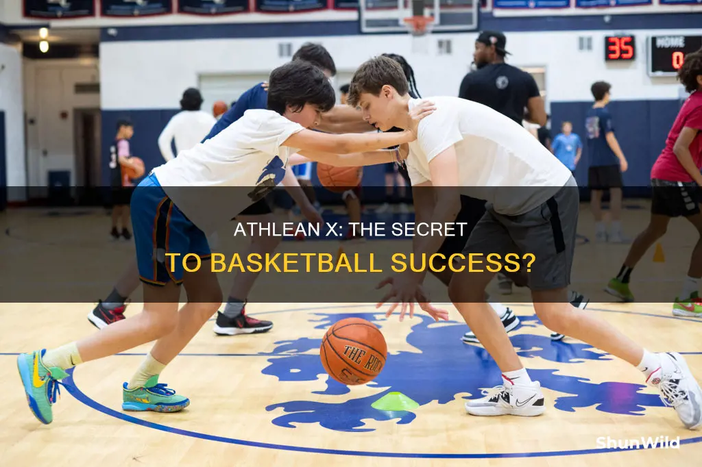 does athlean x work for basketball