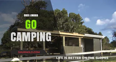 Does Awana Offer Camping Trips? Exploring Outdoor Adventures for Kids