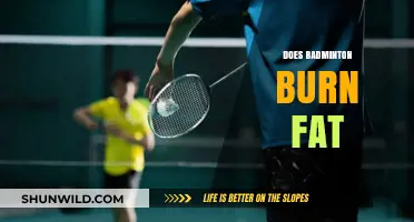 Badminton: Burning Fat, Having Fun
