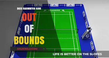 Badminton Boundaries: Out of Bounds Rules Explained