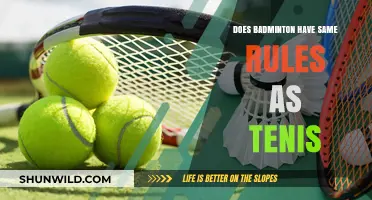 Badminton and Tennis: Similar Rules, Different Games