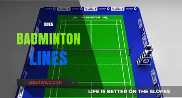 Badminton Lines: What's the Deal?