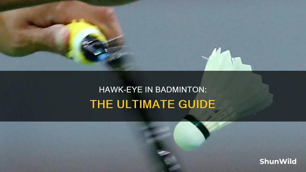 does badminton use hawk eye