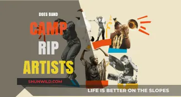 Does Bandcamp Exploit Artists? Uncovering the Platform's Impact on Musicians