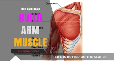 How Basketball Develops Arm Muscles