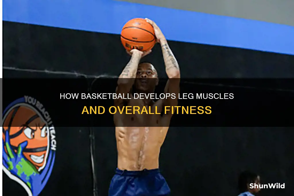 does basketball build leg muscle