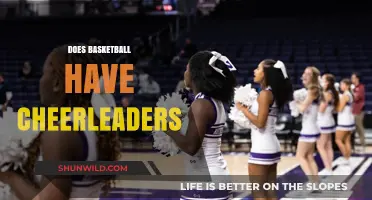 Cheerleaders: An Integral Part of Basketball Culture