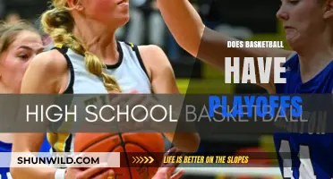 The Playoffs: Basketball's Most Exciting Time