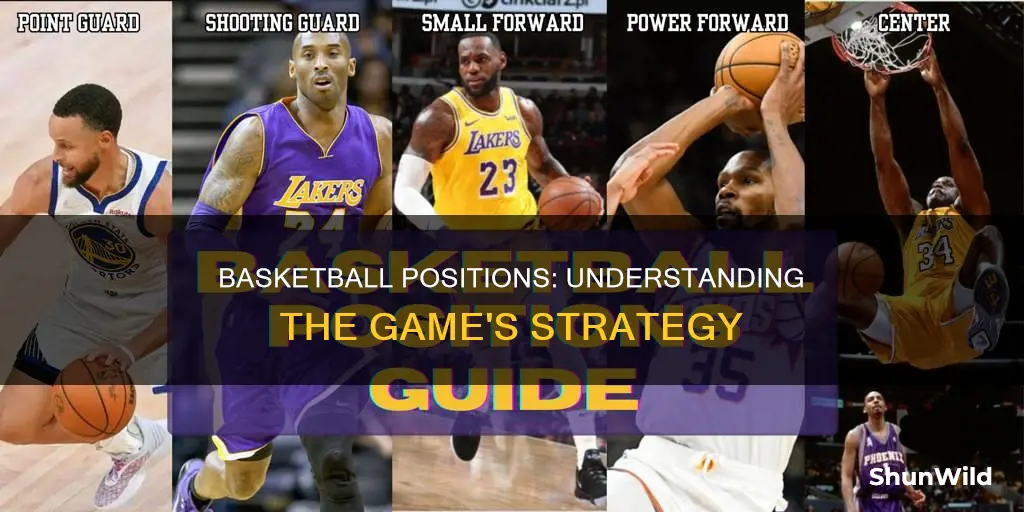 does basketball have positions