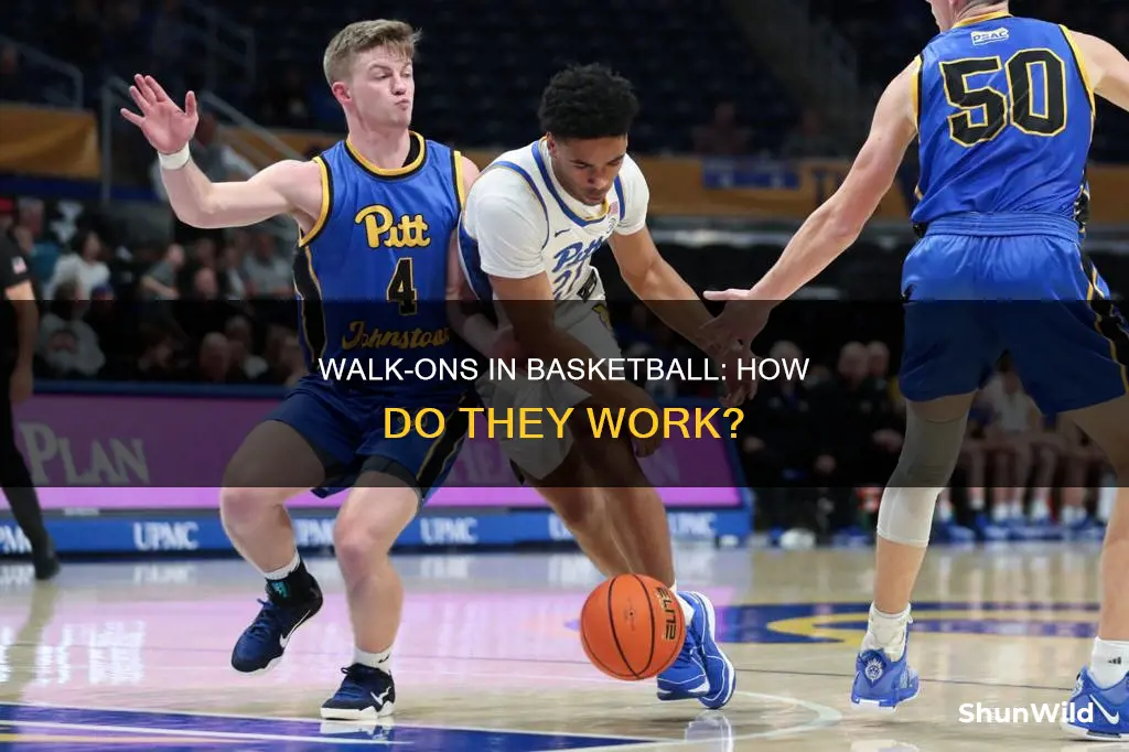 does basketball have walk ons