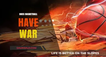 Hoops and Conflict: Basketball's War-like Nature