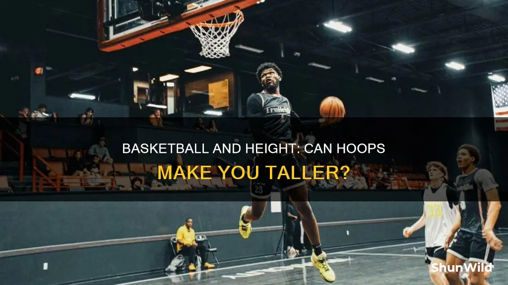 does basketball increase height after 16