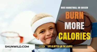 Which Sport Burns More Calories: Basketball or Soccer?