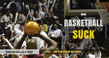The Basketball Conundrum: Why Do Some People Think it Sucks?