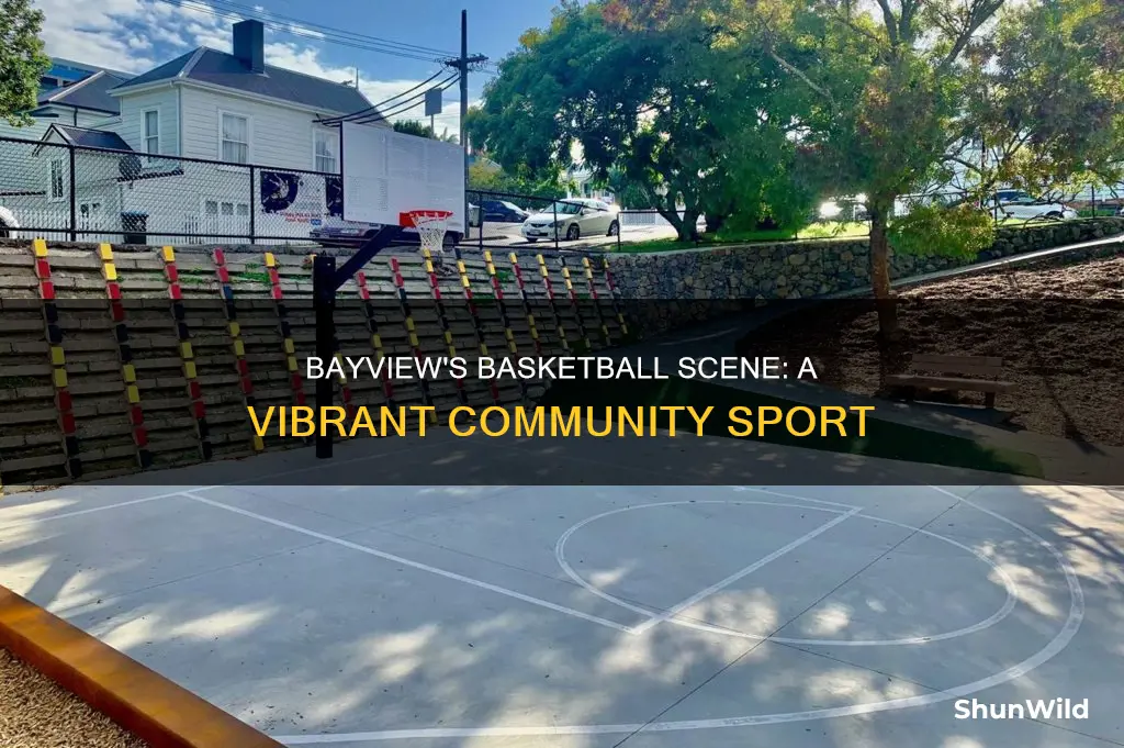 does bayview have basketball
