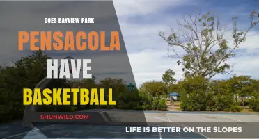 Pensacola's Bayview Park: Basketball and More