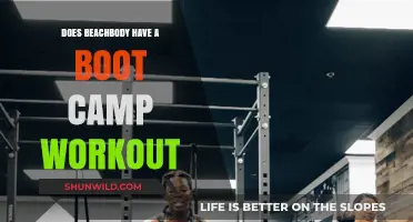 Beachbody Boot Camp Workouts: Are They Part of the Program?