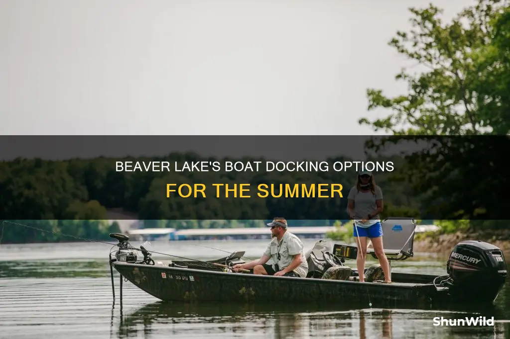 does beaver lake have boat docking for the summer