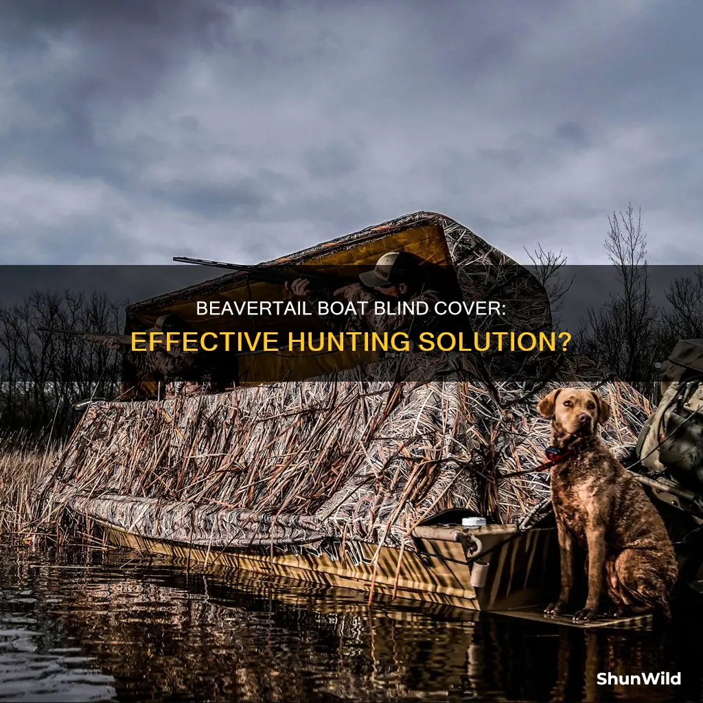 does beavertail boat blind cover really work