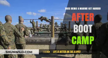 Life After Boot Camp: The Evolving Challenges of Marine Corps Service