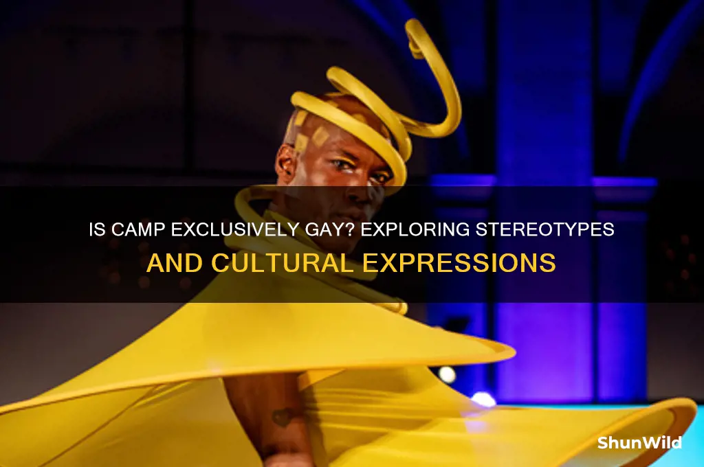 does being camp mean gay