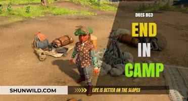 BG3's Finale: Does the Story Conclude at Camp?
