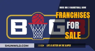 Big 3 Basketball: Are Franchises Available for Purchase?
