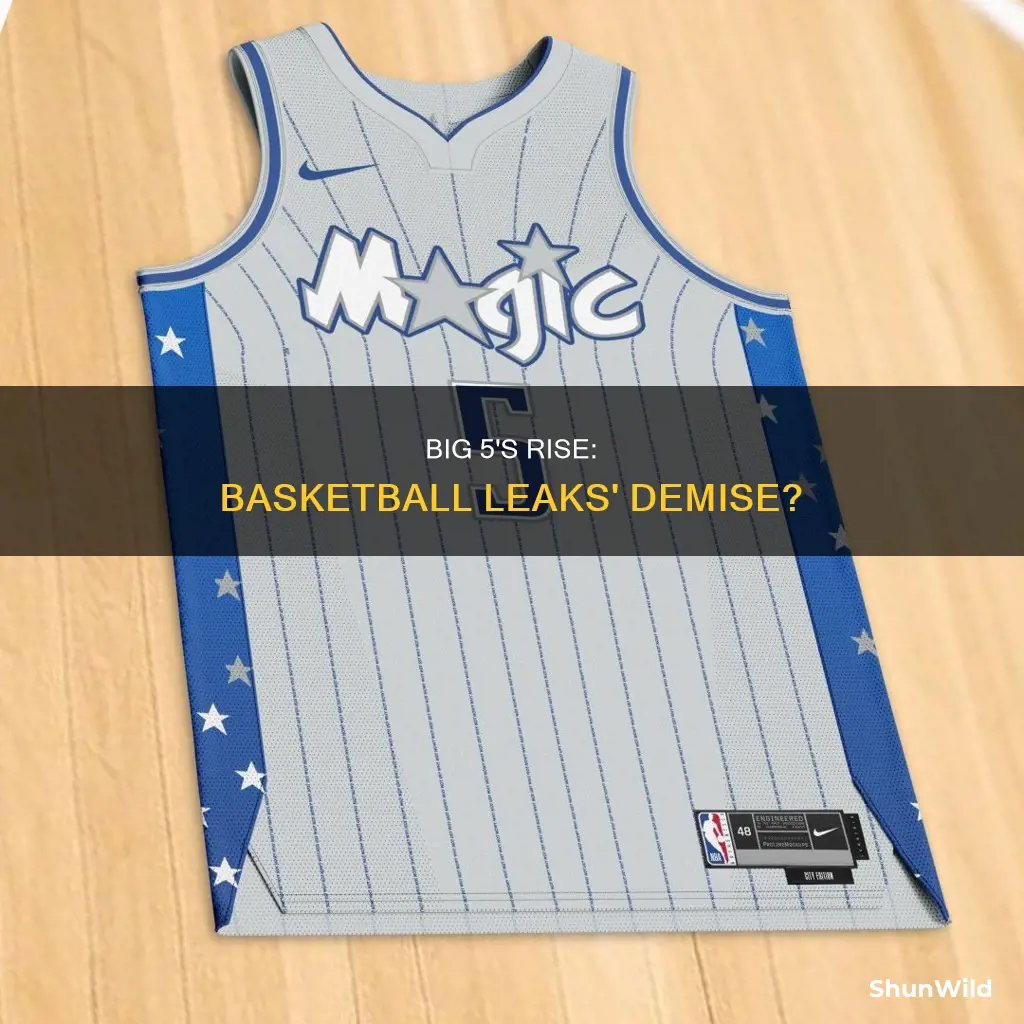 does big 5 replace basketball leaks