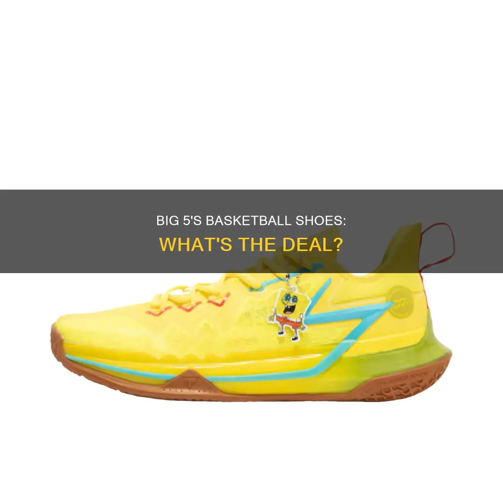 does big 5 sell basketball shoes